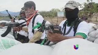 La ayuda a los grupos de autodefensa también llega de EEUU -- Noticiero Univisión