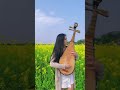 【花海floral sea】琵琶演繹周杰倫jaychou經典熱門單曲 pipa solo shorts