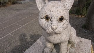 【珍寺】参拝すると家出したヌコを返してくれる『猫返しの阿豆佐味天神社』