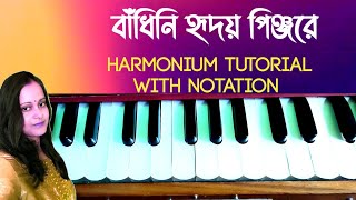 Bandhini Hridoy Pinjore Song | Adhunik song harmonium tutorial