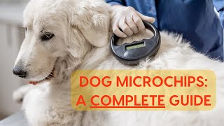 Dog Microchips: A Complete Guide
