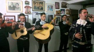 Es Un Buen Tipo Mi Viejo - Serenata Para El Padre Por Mariachi Juveniles Show Bogotá