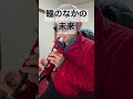 瞳のなかの未来 南野陽子 青いブリンク 手塚治虫 アニソン ソプラノリコーダー soprano recorder