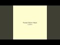 Forest Storm Neon