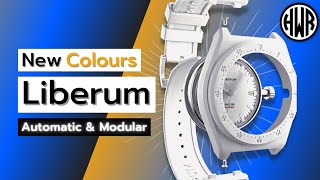 Exciting BUDGET MODULAR watch?