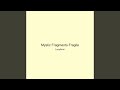 Mystic Fragments Fragile