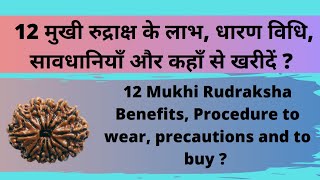 Everything About 12 Mukhi Rudraksha | Best Rudraksha for Career