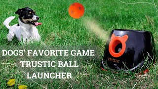 Automatic Ball Launcher for Dogs