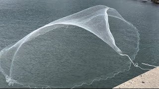 港で巨大投網を投げていると数百匹の深海魚が爆湧きしてやばかった