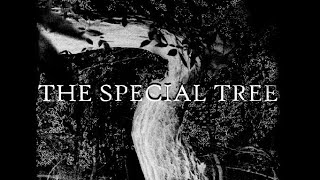 THE SPECIAL TREE | The Modern Day