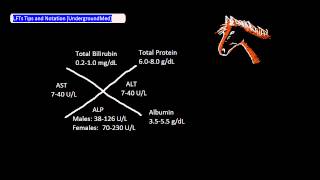 LFTs Tips and Notation [UndergroundMed]