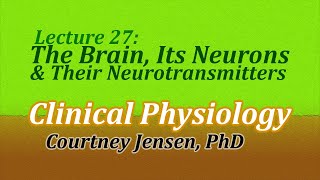 The Brain, Its Neurons, and Their Neurotransmitters (Clinical Physiology, Lecture 27)