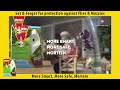 how to keep flies and mozzies away with mortein auto protect outdoor system