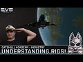 RIGS! Everything You Need To Know About Them!! || EVE Echoes Catskull Academy