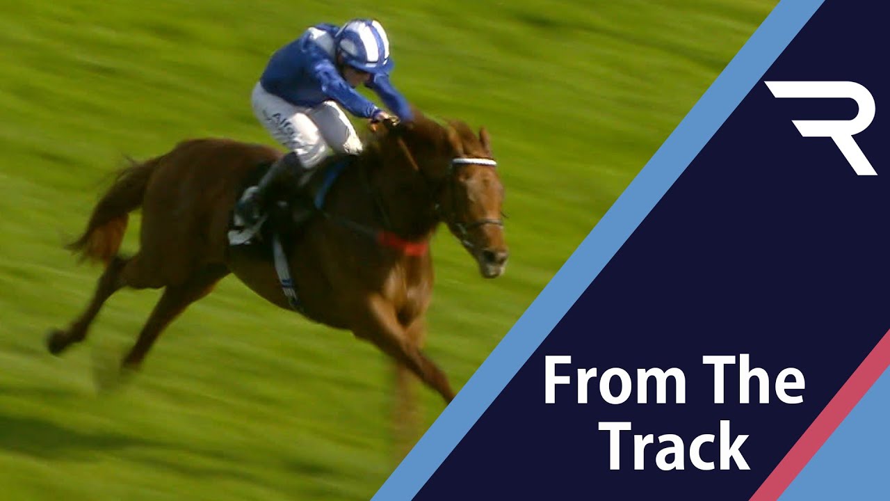 "I'm sure he's quite good" - Marcus Tregoning can't hide his excitement after this win from MORGHOM