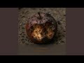 Let it Rot