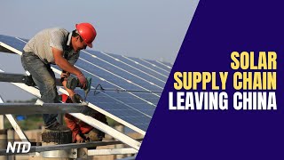 Solar Supply Chains Move Away From China; Spotify To Take Down Neil Young’s Music | NTD Business