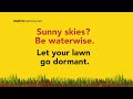 Sunny Skies? Be Waterwise — Water Conservation