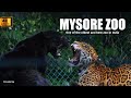 MYSORE ZOO | One of the oldest and best zoo in India | Malayalam | English | 4K | travelenze