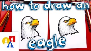 How To Draw A Realistic Bald Eagle Head