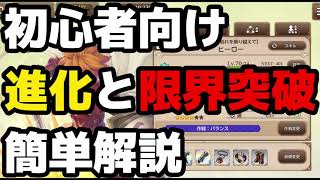 【聖剣伝説エコマナ】進化？限界突破？初心者向け簡単解説！