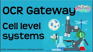 The whole of OCR Gateway Biology Topic 1 - Cell level systems. GCSE Revision