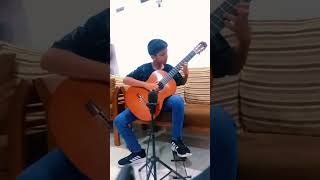 Theme from Love story - Francis Lai I Guitar Cover by Deneth Vishmitha