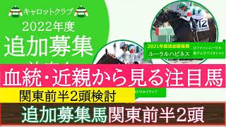 【一口馬主】キャロット追加募集馬（関東前半２頭）「血統・近親からみた検討」