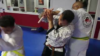 HAPKIDO at The Academy