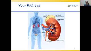 ABC's of Kidney Disease