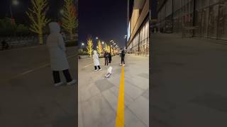 skateboarding puppy ／dog 玩滑板的小狗 #shorts #pets #cute #animals