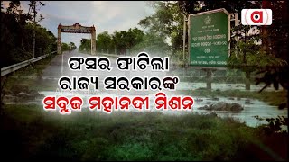 Green Mahanadi Mission Of Odisha Govt 'Fails'