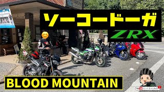 【モトブログ】カワサキ ZRX1100　ぶらっとブラッドマウンテン　走行動画　2021年9月　アメリカ　アトランタ 【にっくちゃんねる】