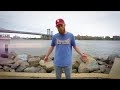 Aaron Cohen - Gang, Gang (Video)