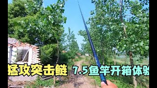 专为野钓鲢鳙而生，猛攻突击鲢7.5鱼竿，开箱体验！