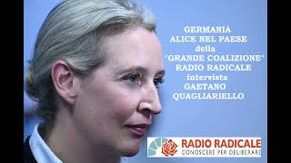 Germania: Alice nel paese della Grande Coalizione, intervista al prof. Gaetano Quagliariello