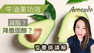 減脂成功必吃牛油果🥑營養師講解牛油果降膽固醇及減脂功效【3分鐘營養教室】