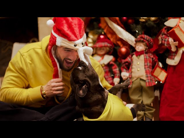 Download CHELUTU feat. Dorian Popa - Chelutu cu Bradutu (Originala)