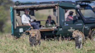 21 Years of Protecting and Preserving Priceless Wilderness. We are Kicheche Camps.