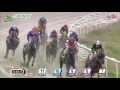 20161016 렛츠런파크 부산경남 5경주 1600m