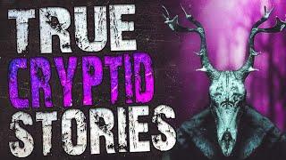 True Cryptid Stories To Help You Fall Asleep | Rain Sounds