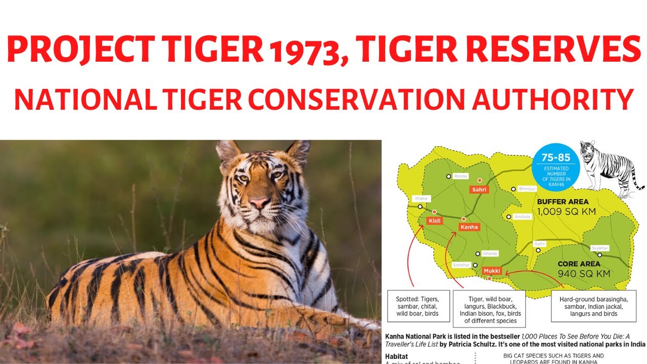 Project Tiger 1973, Tiger Reserves, National Tiger Conservation ...