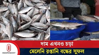 বরিশাল থেকে ইলিশের দাম নিয়ে সবশেষ | Hilsa market | Independent TV