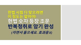 (효과음 X, 자면서도 들을 수 있음) 헌법 '숫자 등장 조문' 암기 도움 영상_헌법 시험 다 맞으려면 이 정도는 외우고 갑시다!