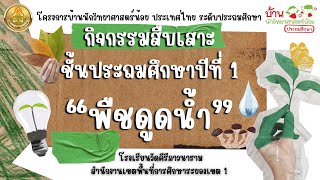 โครงการบ้านนักวิทยาศาสตร์น้อย ระดับประถมศึกษา \