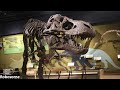 The Scientific Accuracy of Walking With Dinosaurs - Episode 6 Death of a Dynasty