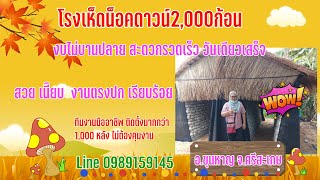 โรงเห็ดน็อคดาวน์ 13,000บาท จ.ศรีสะเกษสะดวก รวดเร็ว วันเดียวเสร็จ โทร 0989159145