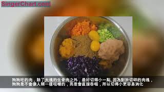 誰說狗糧才是科學餵食？自製狗飯的6個技巧，同樣給狗狗健康飲食