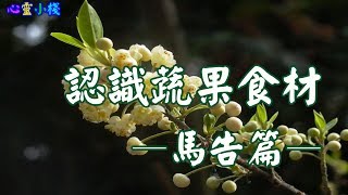 【心靈小棧】蔬果食材之馬告篇 #知識 #教育