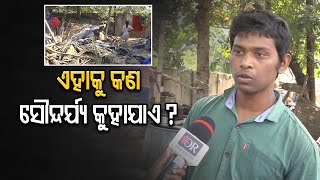 ଏହାକୁ କଣ ସୌନ୍ଦର୍ଯ୍ୟ କୁହାଯାଏ ?      | Odisha Reporter